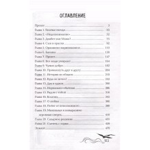 Ирина Родионова. Душа для четверых