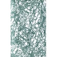 Мари Рапп. Авинданы. 1. Душа изо льда