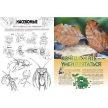 Насекомые в комиксах. Том 1