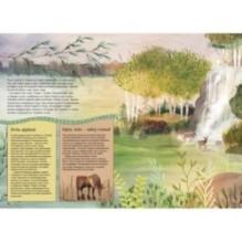 Тайга: один год из жизни крупнейшего наземного биома