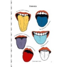 Еда. Какие чувства она вызывает