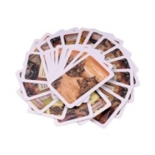 Элементарно 4: Выстрелы на рассвете