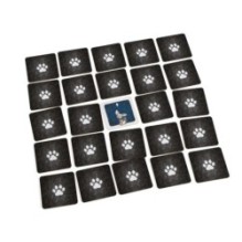 Карманные кошки