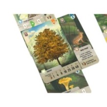 Смешанный лес