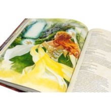 Dungeons & Dragons:  Книга игрока