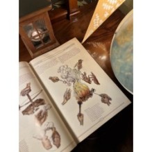 The Book. Как создать цивилизацию заново