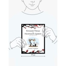 Большая Панда и Маленький Дракон: медитативная история