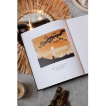 Большая Панда и Маленький Дракон: медитативная история