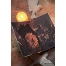 Война и мир. Том 3-4. Вечные истории. Young Adult