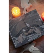 Война и мир. Том 3-4. Вечные истории. Young Adult