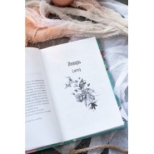 Всё, что мы потеряли