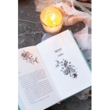 Всё, что мы потеряли