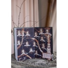 Грозовой перевал. Вечные истории. Young Adult