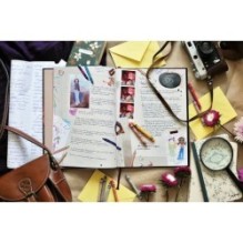 Дневники Вишенки. Том 1. Каменный зоопарк