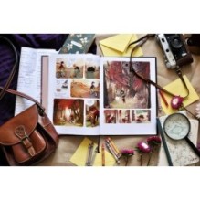 Дневники Вишенки. Том 1. Каменный зоопарк