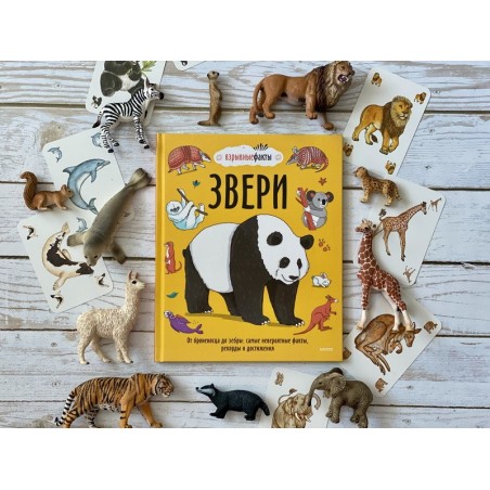 Звери. От броненосца до зебры: самые невероятные факты, рекорды и достижения