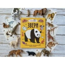 Звери. От броненосца до зебры: самые невероятные факты, рекорды и достижения