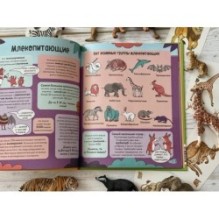 Звери. От броненосца до зебры: самые невероятные факты, рекорды и достижения