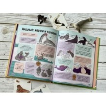 Звери. От броненосца до зебры: самые невероятные факты, рекорды и достижения