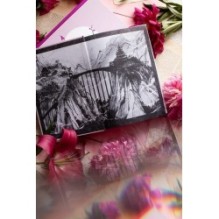 Злодейский путь!.. Том 1 и 2