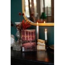 Мастер и Маргарита. Вечные истории. Young Adult