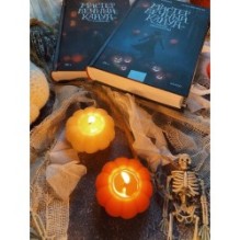 Мистер Вечный Канун. Город Полуночи