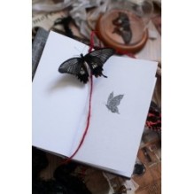 Моё пост-имаго