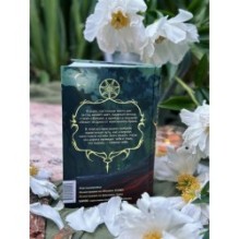 Наследие Рэйны. Дорога к себе