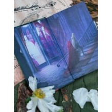 Наследие Рэйны. Дорога к себе