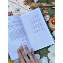 Наследие Рэйны. Дорога к себе