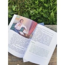 Наш русский язык. Детская энциклопедия (Чевостик) (Paperback)