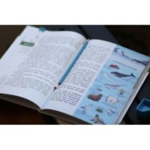 Наша страна Россия. Детская энциклопедия (Чевостик)