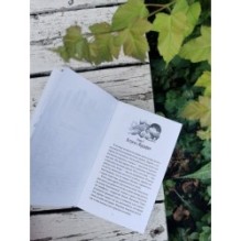 Путешествие в Древляндию