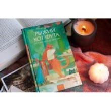 Рыжий кот Фута из кафе между мирами