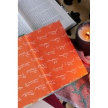 Рыжий кот Фута из кафе между мирами