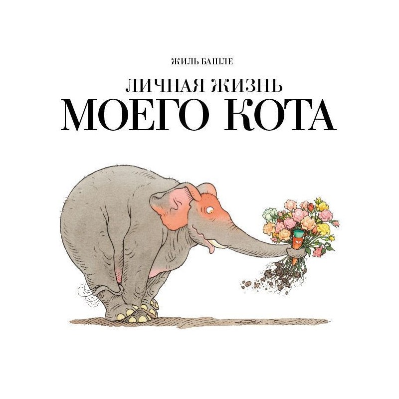 Личная жизнь моего кота Личная жизнь моего кота