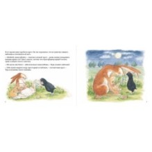 Куда уложить зайчонка?