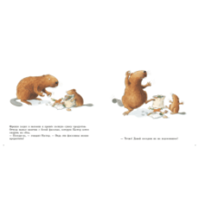 Огород Кастора