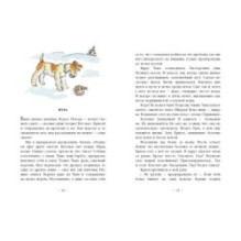 Цирк на дворе