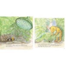 Мишка Бруно в саду