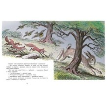 Большой Эдвин