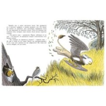 Необычное яйцо