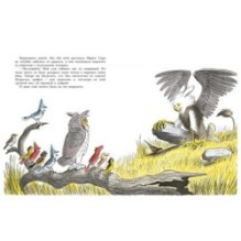 Необычное яйцо