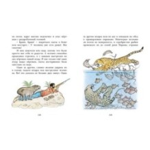 На берегах Ябебири