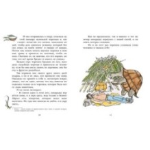 На берегах Ябебири