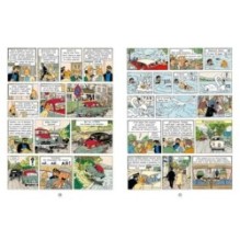 Дело Турнесоля