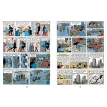 Дело Турнесоля