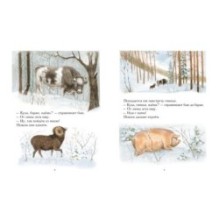 Зимовье зверей 2024