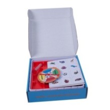 Обучающая настольная игра "УДЕРЖИ В ПАМЯТИ" Bondibon