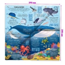 Книжка-трансформер. Животные